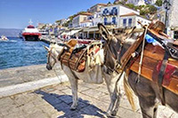 Poros