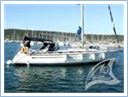Galea