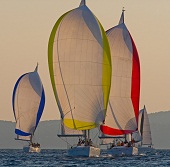 Offshore Sailing Week