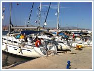 Grecko 2011