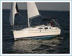 Hunter 33