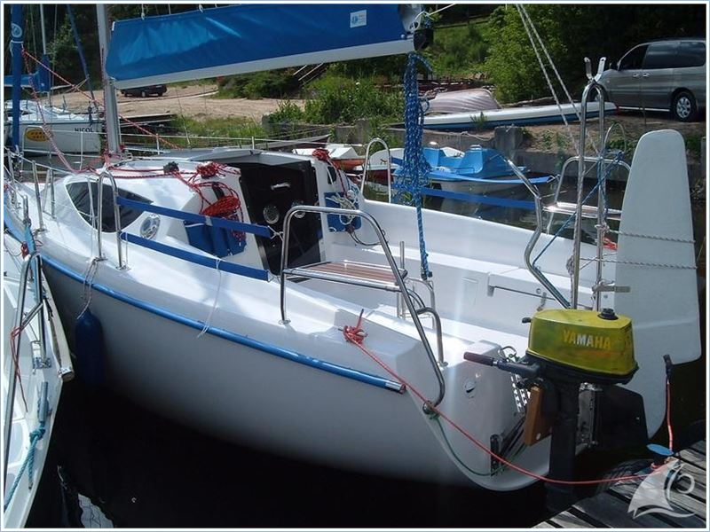 Maxus 24