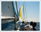 Offshore sailing week 2013