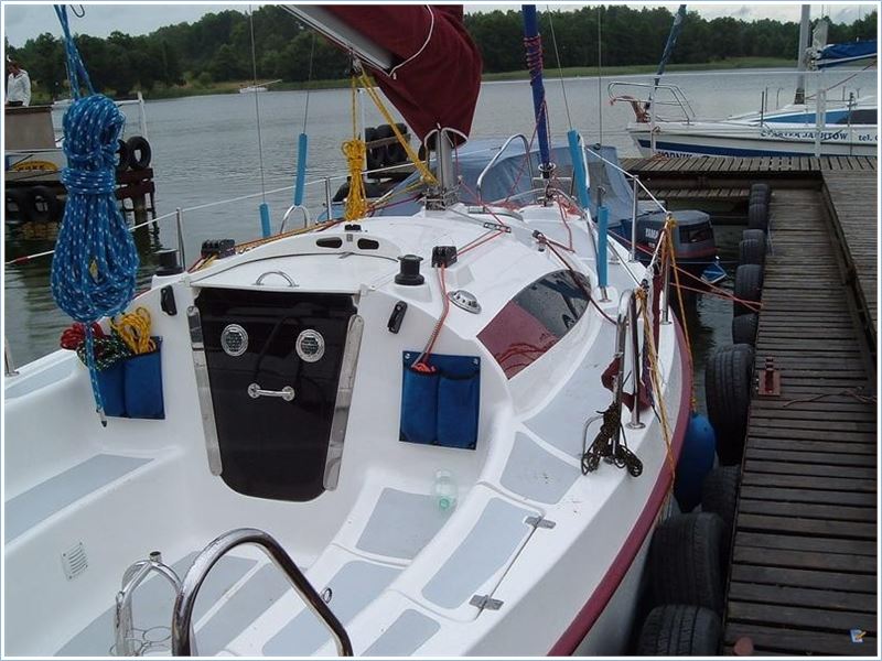 Sasanka 660