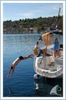 Student Regata 2010