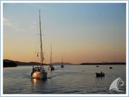 Student Regata 2010