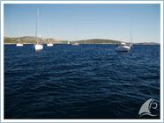 Student Regata 2010