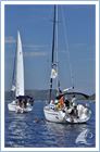 Student Regata 2011