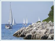 Student Regata 2012