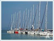 Student Regata 2014