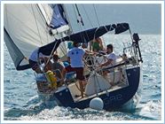 Student Regata 2014