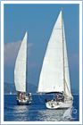 Student Regata 2014