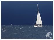 Student Regata 2014