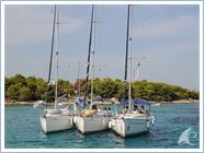 Student Regatta 2013
