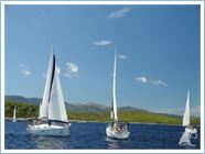 Student Regatta 2013