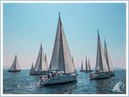 Student Regatta 2016