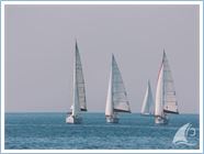 Team Regata 2014