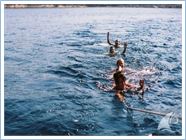 Team Regata 2014