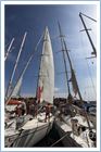 Team Regata 2015
