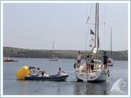 Team Regata 2015