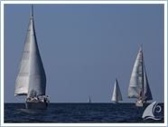 Team Regata 2015