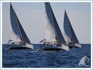 Team Regata 2015
