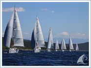 Team Regata 2015
