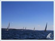 Team Regata 2015