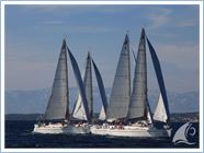 Team Regata 2015