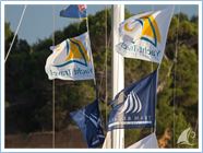 Team Regata 2016