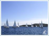 Team Regata 2016