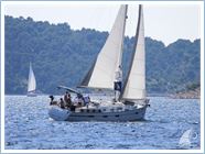 Team Regata 2016