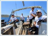Team Regata 2016