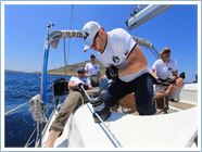 Team Regata 2016