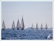 Team Regata 2016