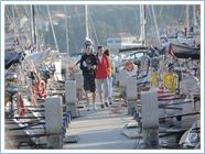 TeamRegata 2013