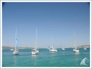 TeamRegata 2013