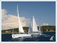 TeamRegata 2013