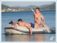 TeamRegata 2013