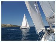 TeamRegata 2013
